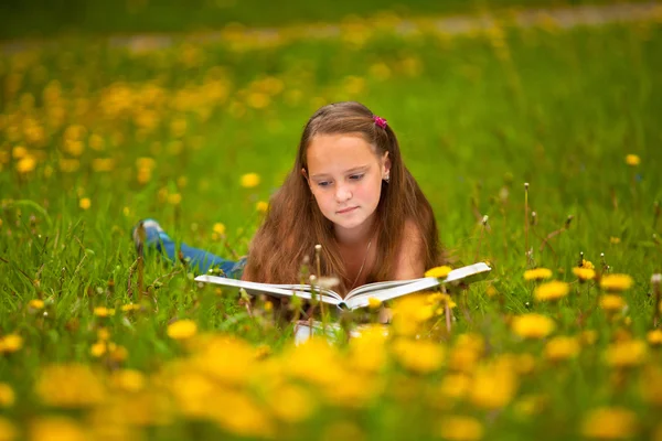 Een meisje (11 jaar) leest een boek in de weide. Stockfoto