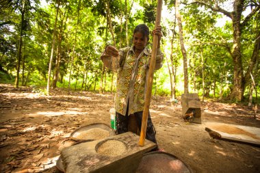 kimliği belirsiz kadın orangutan aslı Harman pirinç Metal çöp kaldırma