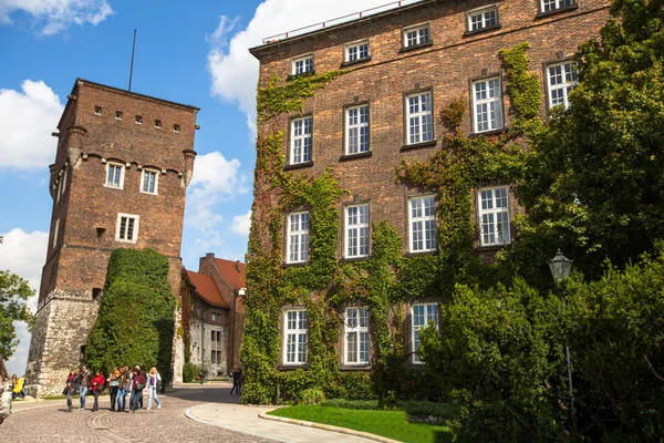 Op grondgebied van Koninklijk Paleis in wawel — Stockfoto