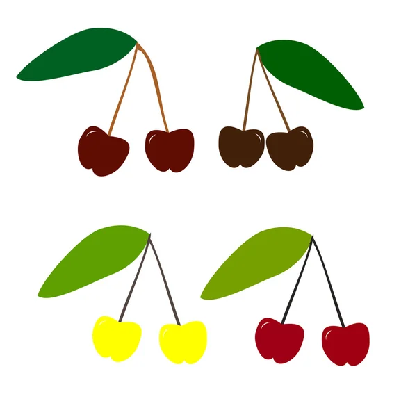 Cherry, vector set — Stock Vector