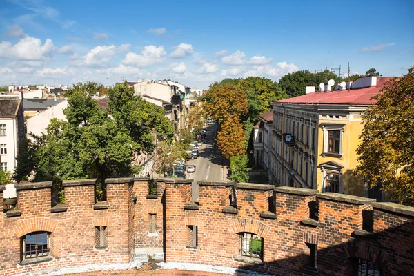 Na území královského paláce wawel — Stock fotografie