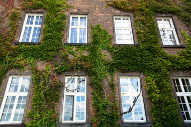 Windows wawel Kalesi Krakow, Polonya.
