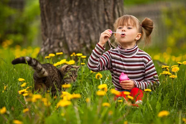 面白いの素敵な小さな女の子と猫の肖像画 — ストック写真