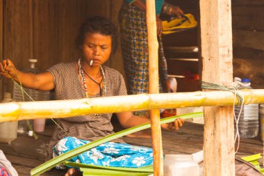 kimliği belirsiz bir kadın orangutan aslı köyünde