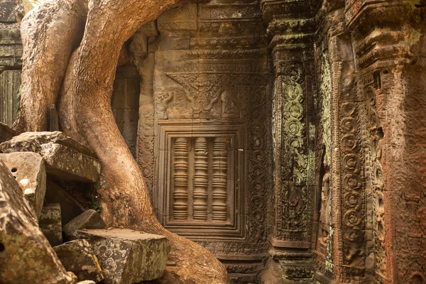 Angkor wat, siem θερισμού, cambodia. — Φωτογραφία Αρχείου