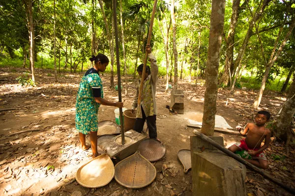 Pessoas não identificadas Orang Asli debulha arroz para remover a palha em Berdut, Malásia . — Fotografia de Stock