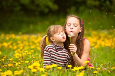 Şişirme Dandelion kardeşler