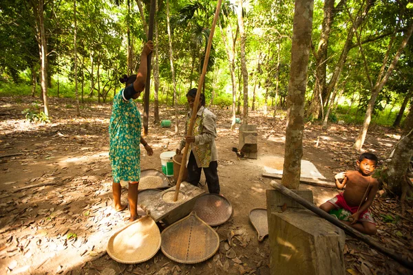 Persone Orang Asli thresh rice — Foto Stock