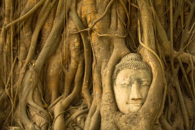 WAT mahathat Tayland.