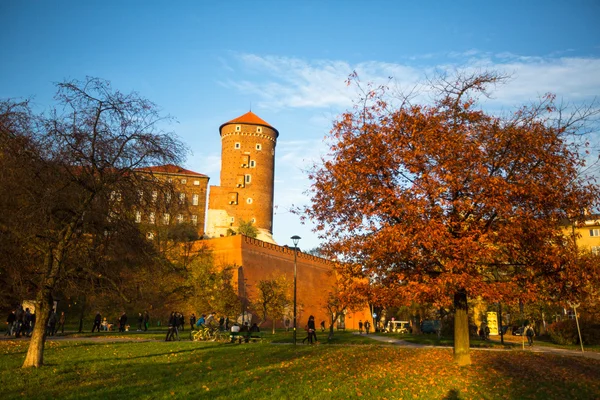 Kuninkaallinen palatsi Wawelissa Krakovassa — kuvapankkivalokuva