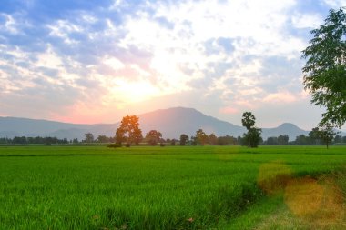 Kuzey Tayland dağ manzarası