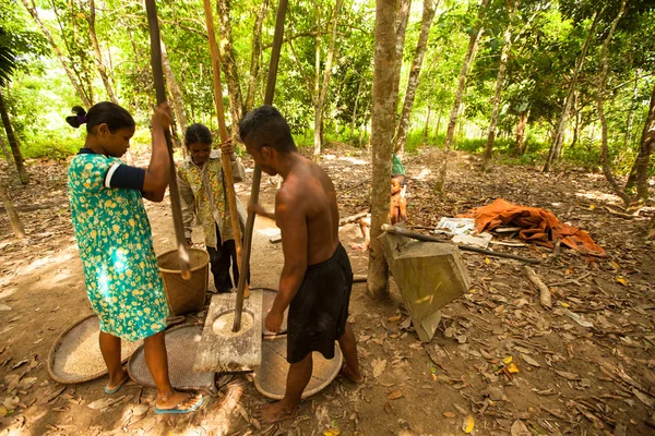 People Orang Asli thresh rice — Stock Photo, Image