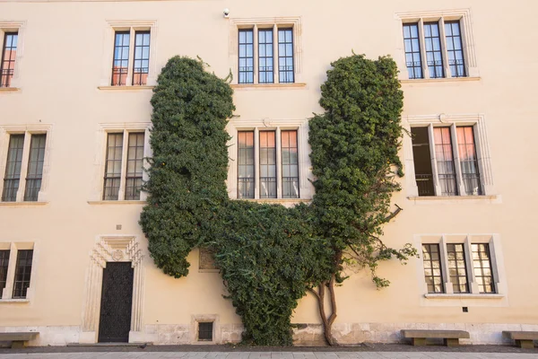 Kungliga slottet på wawel i Kraków — Stockfoto