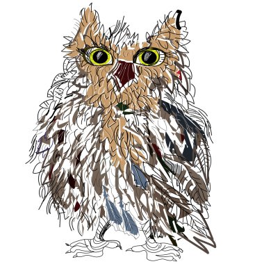 Beyaz arkaplanda baykuş