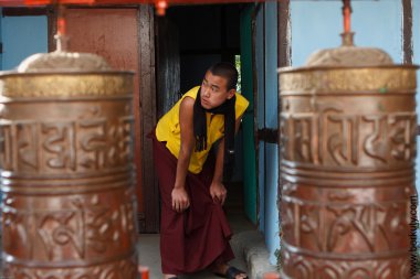 Monk in the Rumtek Monastery clipart