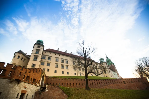 Royal wawel slott — Stockfoto