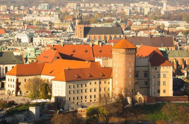 kraliyet wawel kalesi