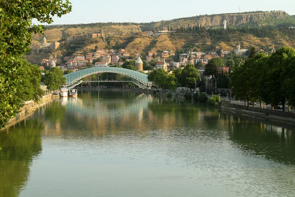 Вид на Мост Мира — стоковое фото