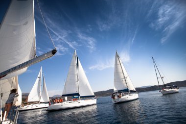 tekneler yarışmacılar