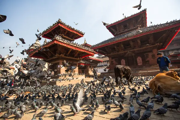 Oude durbar square, Nepal met pagodes — Stockfoto