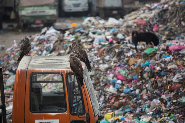 Pile of domestic garbage at landfills Stock Photo