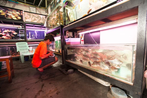 Vendedor não identificado no mercado de peixe no Chatuchak Weekend Market 24 de abril de 2012 em Bangkok, Tailândia . — Fotografia de Stock