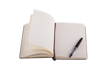dolma kalem, defter üzerinde yer