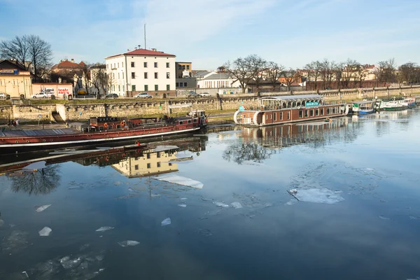 Floden Vistula i Polen, — Stockfoto