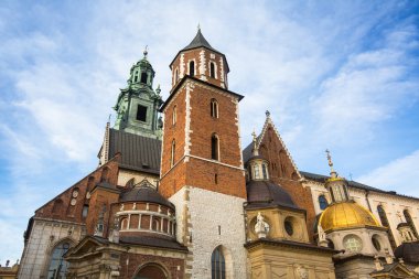 kracow, Polonya Wawel Katedrali