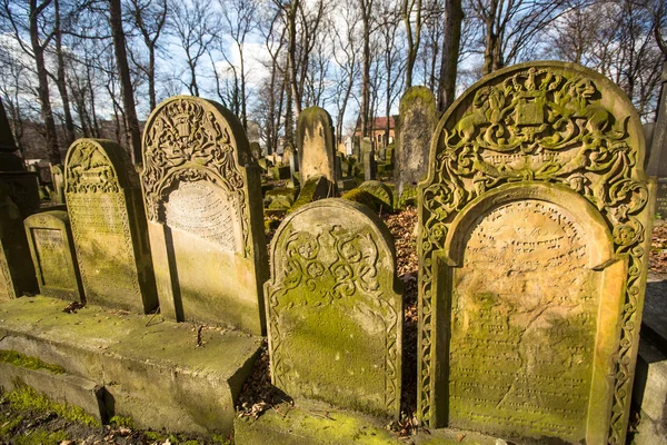 Novo Cemitério Judaico em Cracóvia — Fotografia de Stock