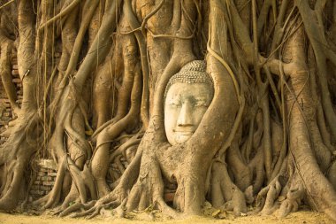 Buda ayutthaya içinde başkanı