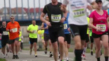 Krakow uluslararası maraton
