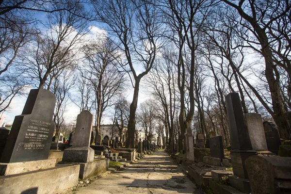 New Jewish Cemetery in Krakow — Stock Photo, Image