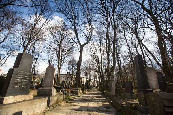 New Jewish Cemetery in Krakow