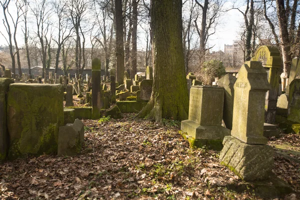 Nuevo cementerio judío en Cracovia — Foto de Stock