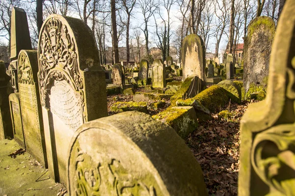Nový židovský hřbitov v Krakově — Stock fotografie