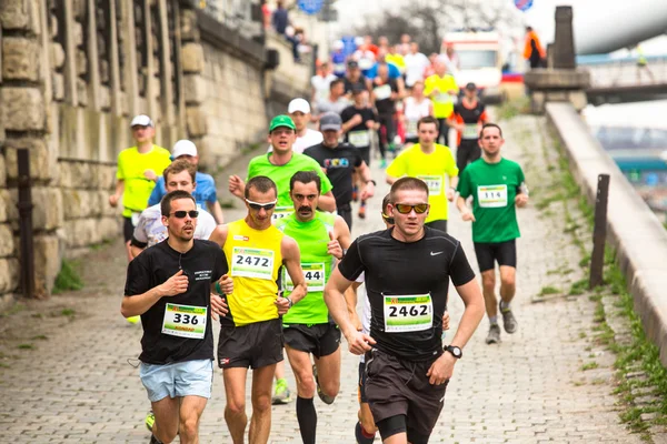 Participants au Marathon international de Cracovie — Photo