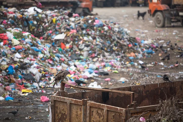 Pile of domestic garbage at landfills — Stock Photo, Image