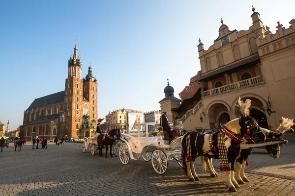 Kočáry na hlavním náměstí — Stock fotografie