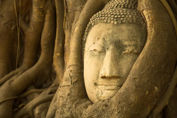 Head of Buddha in Wat Mahathat — Stock Photo, Image