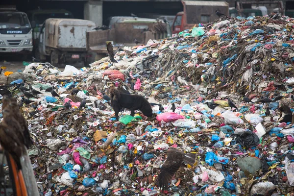 Pile of domestic garbage at landfills Royalty Free Stock Images