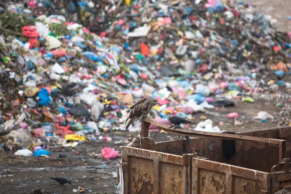 Pile of domestic garbage at landfills Stock Image