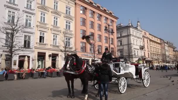 Kostel je St.Mary v historickém centru Krakova. — Stock video