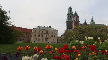 Wawel Katedrali wawel Hill Krakow, Polonya