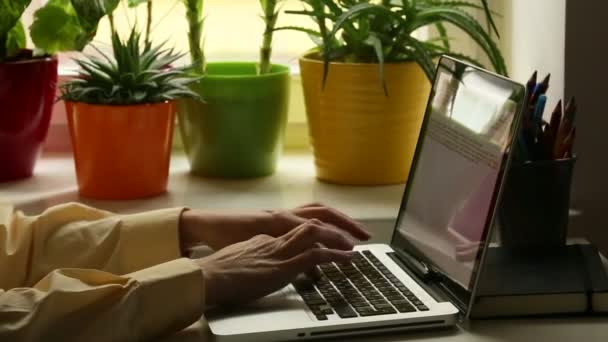 Руки молодої жінки, що друкує на клавіатурі ноутбука . — стокове відео
