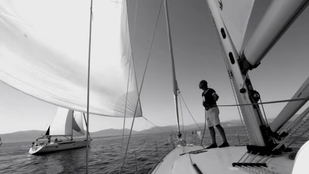 Regaty żeglarskie w zatoce Sarońskiej (czarny i biały wideo) — Wideo stockowe