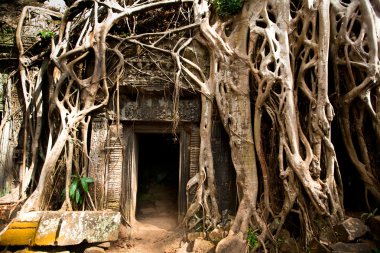 Angkor wat karmaşık