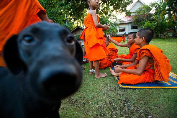 Enfant passer un moine dans un monastère bouddhiste Wat Klong Prao — Photo