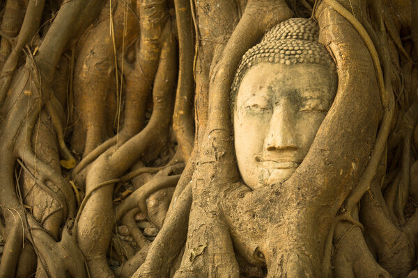 Close-up Head of Buddha