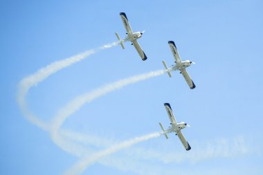 akrobasi ekibi 3 x sinek sinthesis Teksaslı üst sınıfı